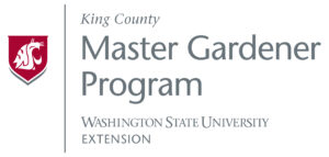 KingCo MG Foundation
