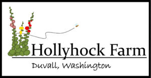 hollyhock.logo (1)